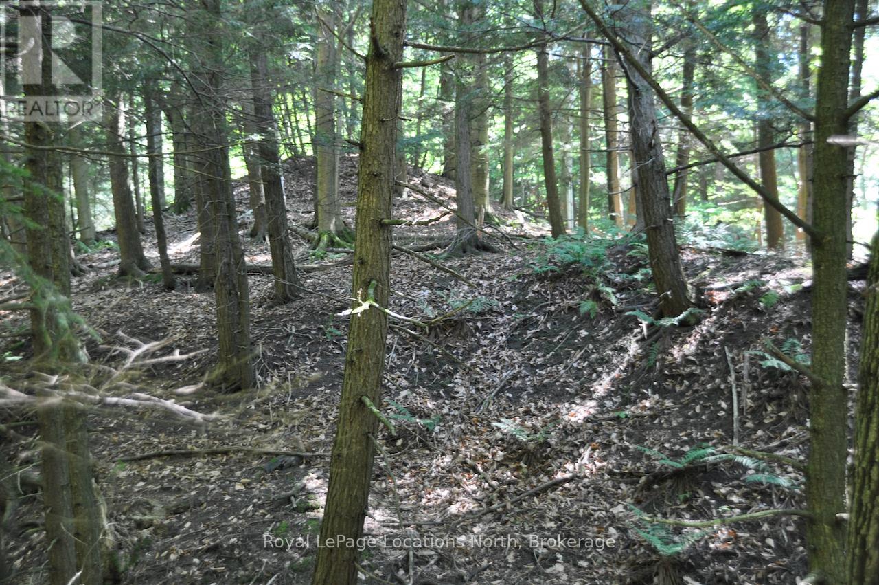 Lot 21 Bayshore Road Property Photo 13