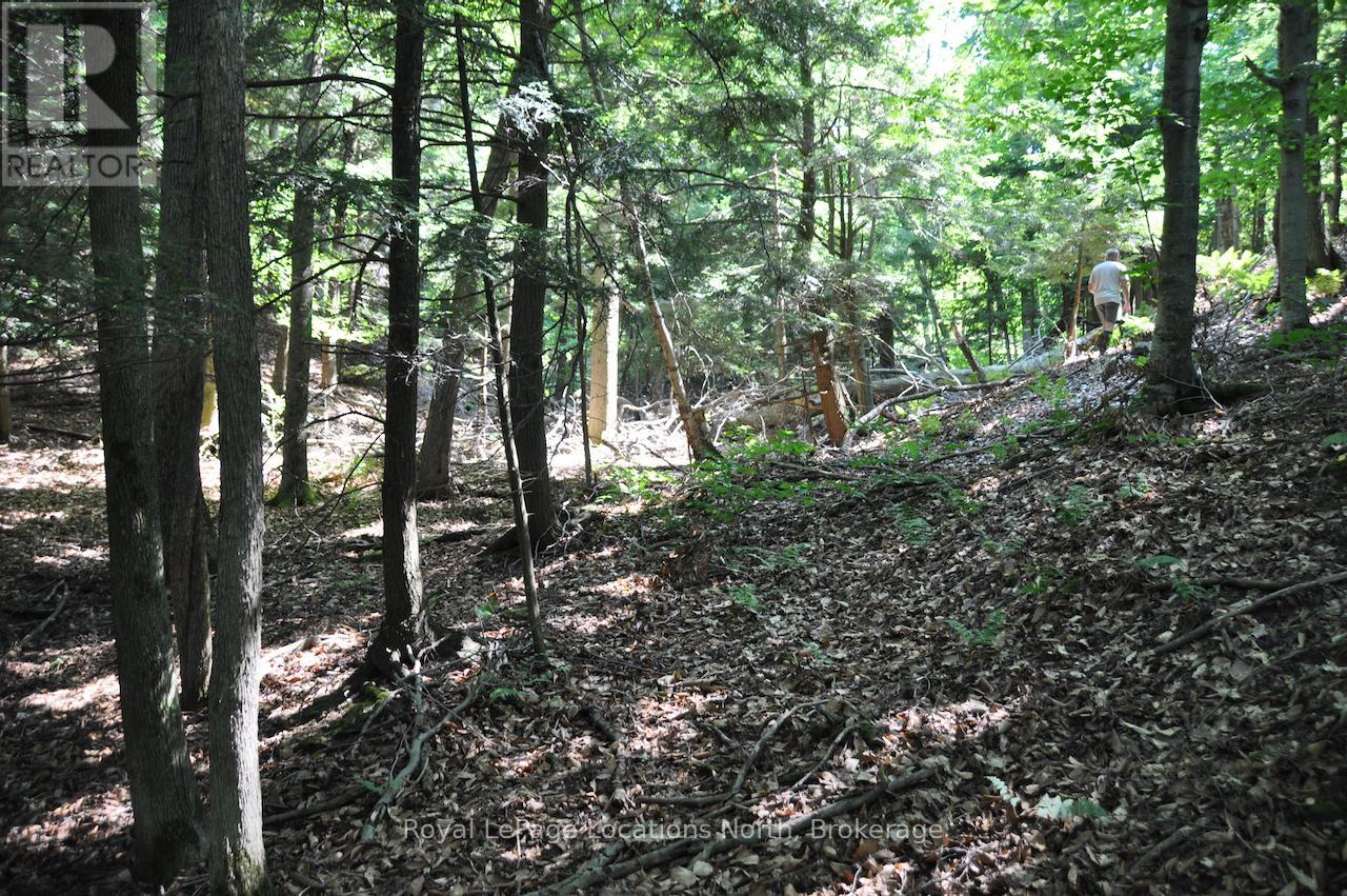Lot 21 Bayshore Road Property Photo 14