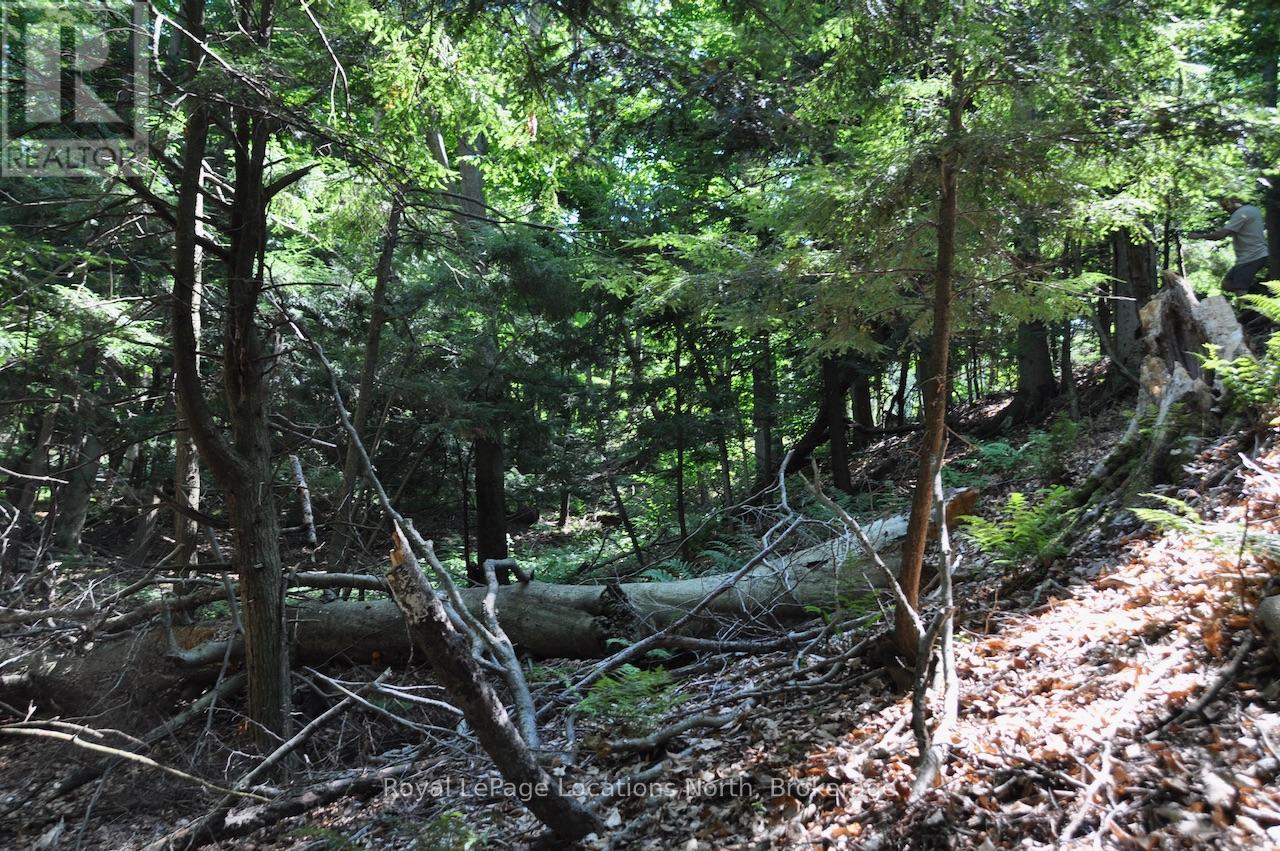 Lot 21 Bayshore Road Property Photo 15