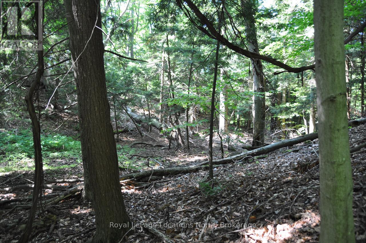 Lot 21 Bayshore Road Property Photo 16