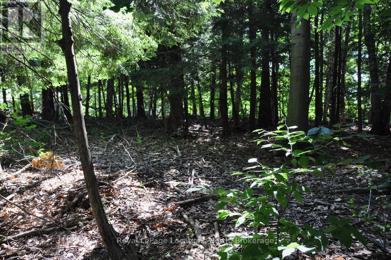 Lot 21 Bayshore Road Property Photo 17