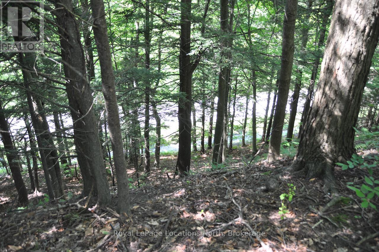 Lot 21 Bayshore Road Property Photo 19