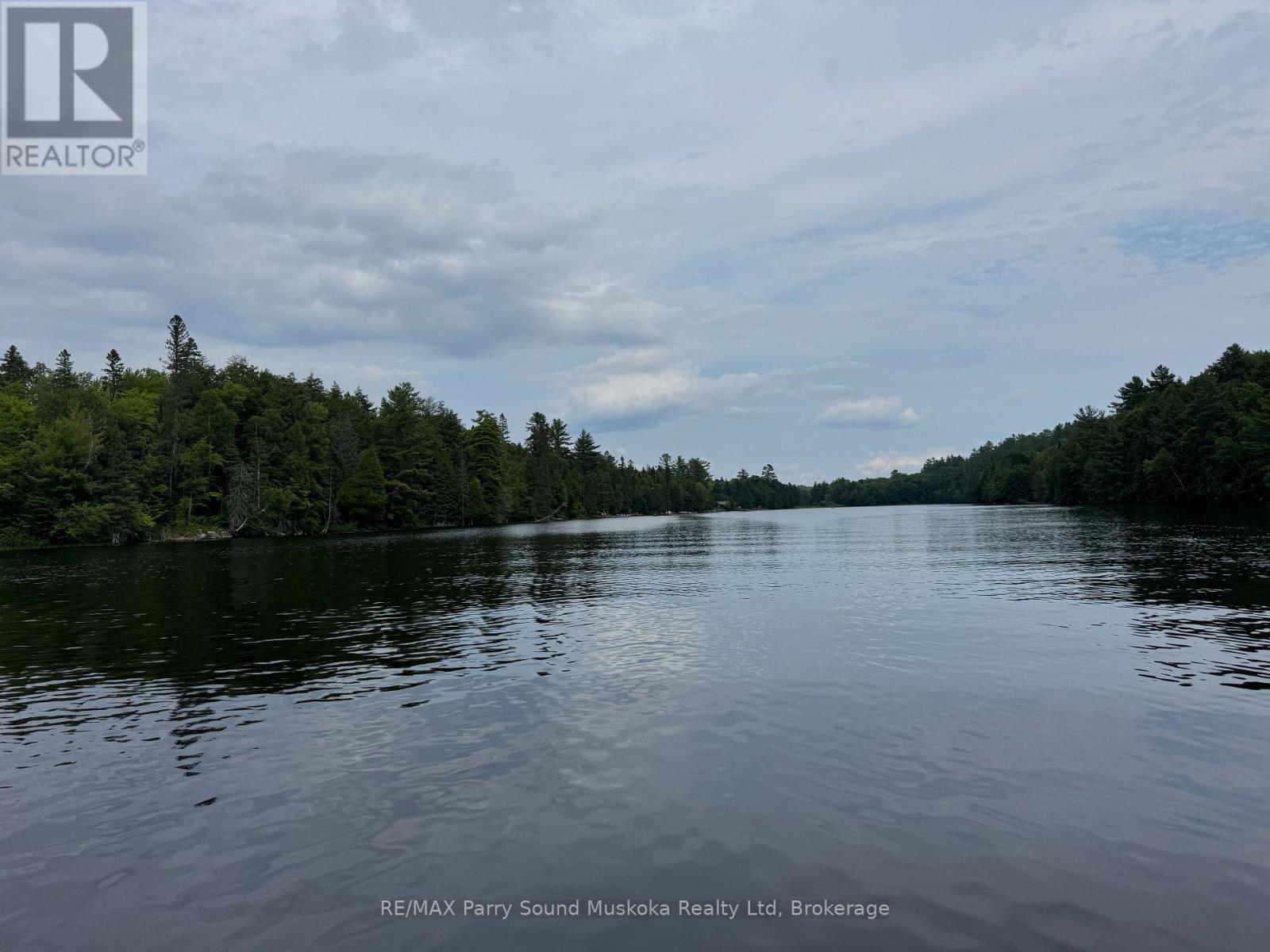 2 Wolf River Property Photo 4