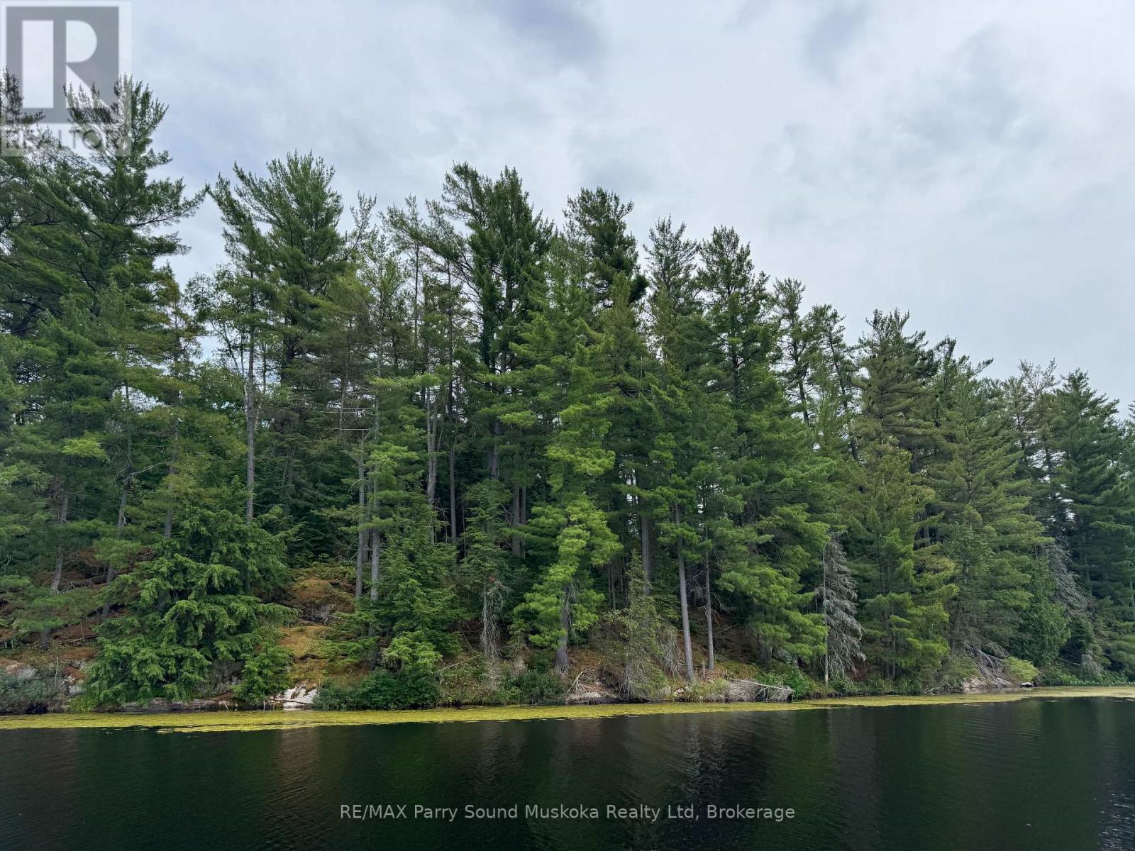 2 Wolf River Property Photo 5
