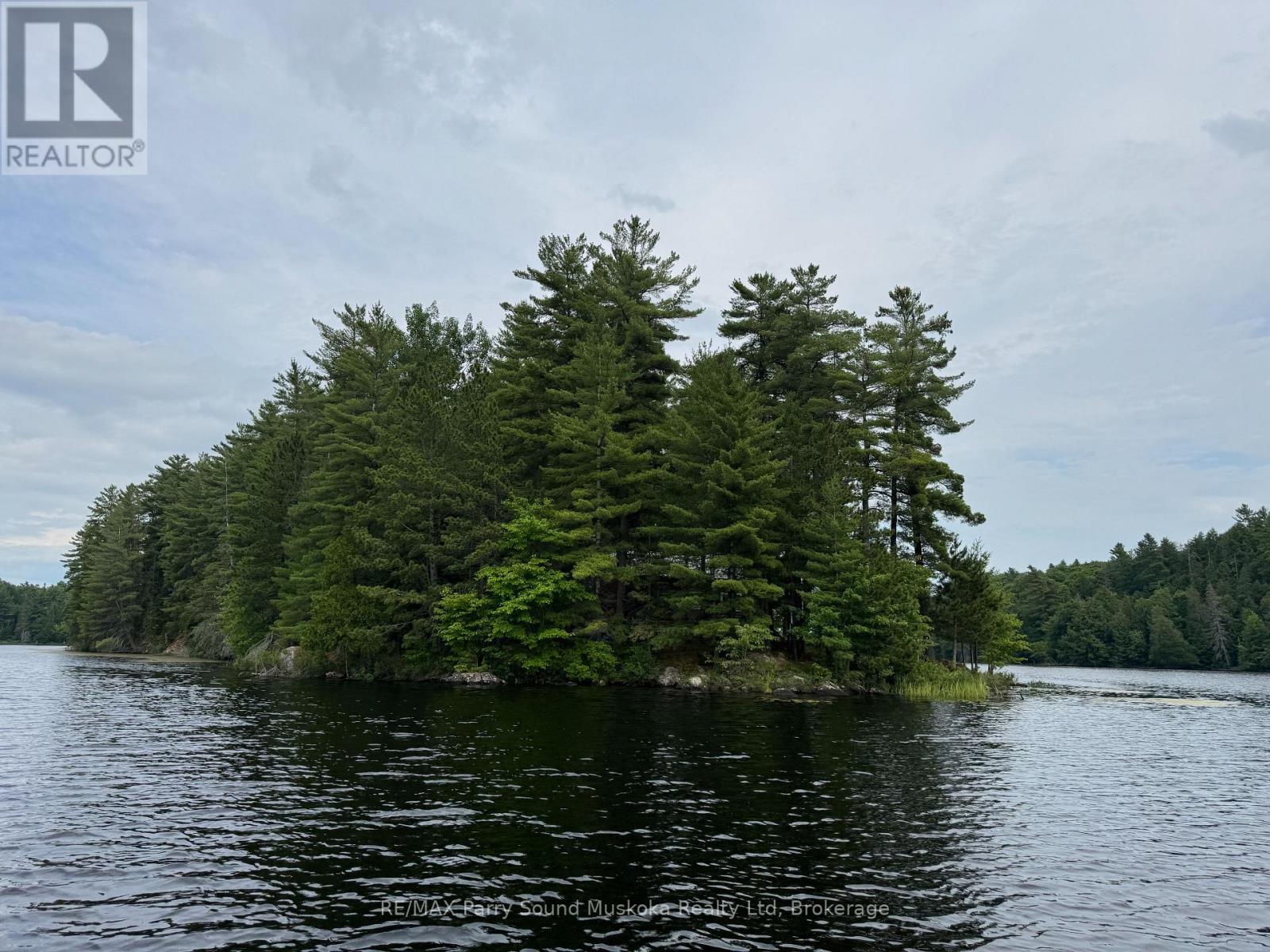 2 Wolf River Property Photo 6