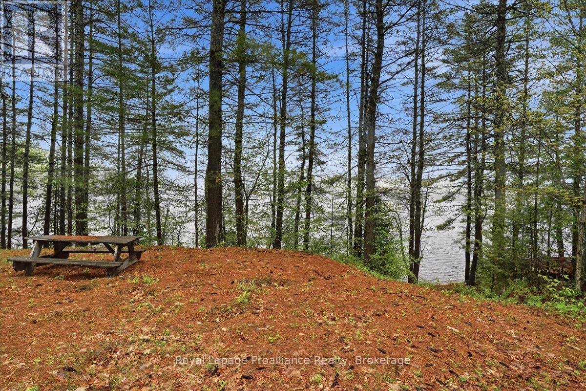 1419 Turtle Lake Lane Property Photo 6