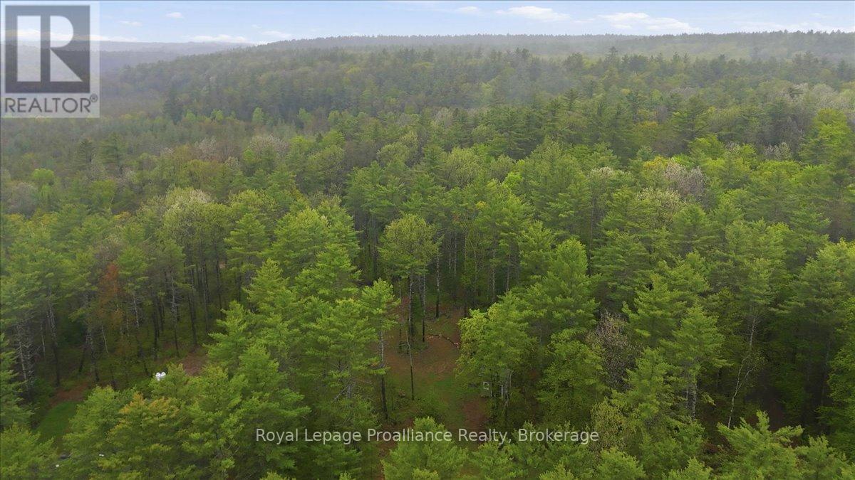 1419 Turtle Lake Lane Property Photo 11