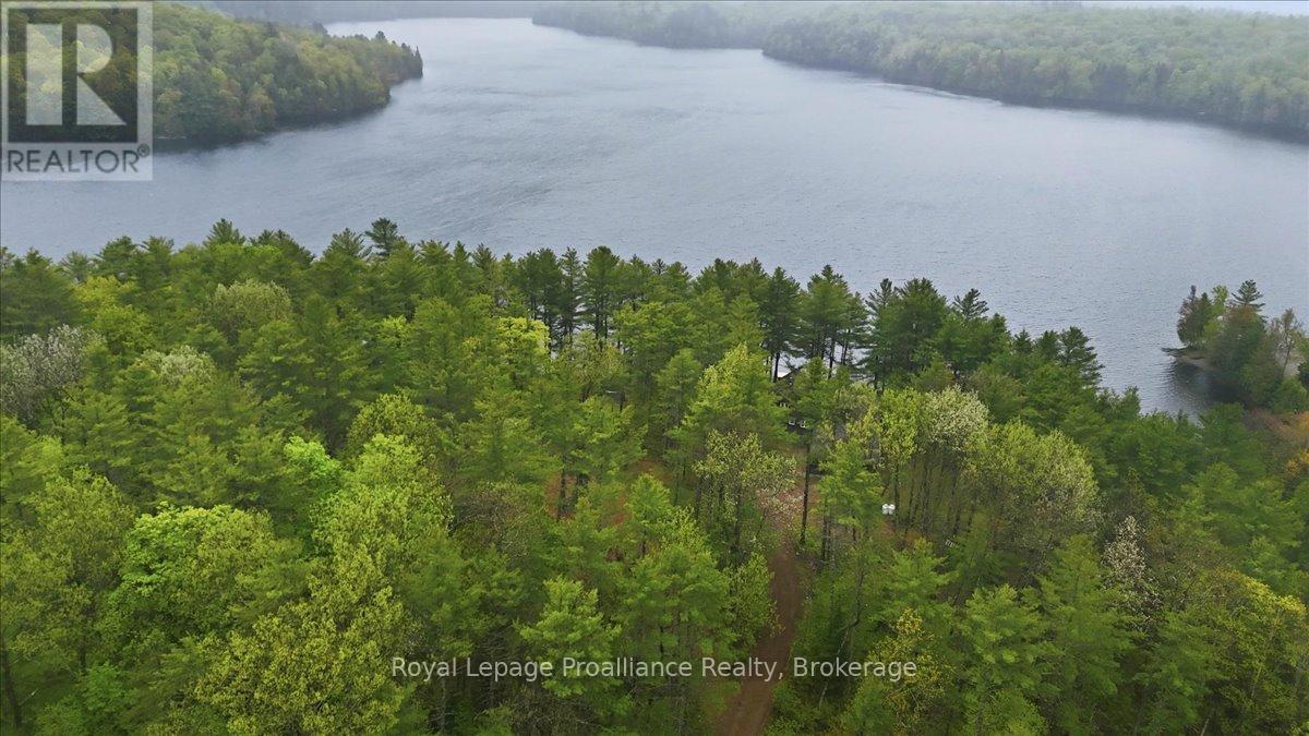 1419 Turtle Lake Lane Property Photo 12