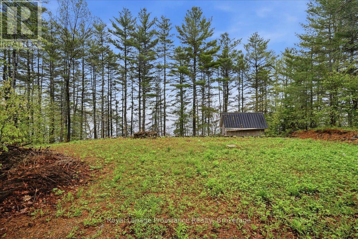 1419 Turtle Lake Lane Property Photo 15