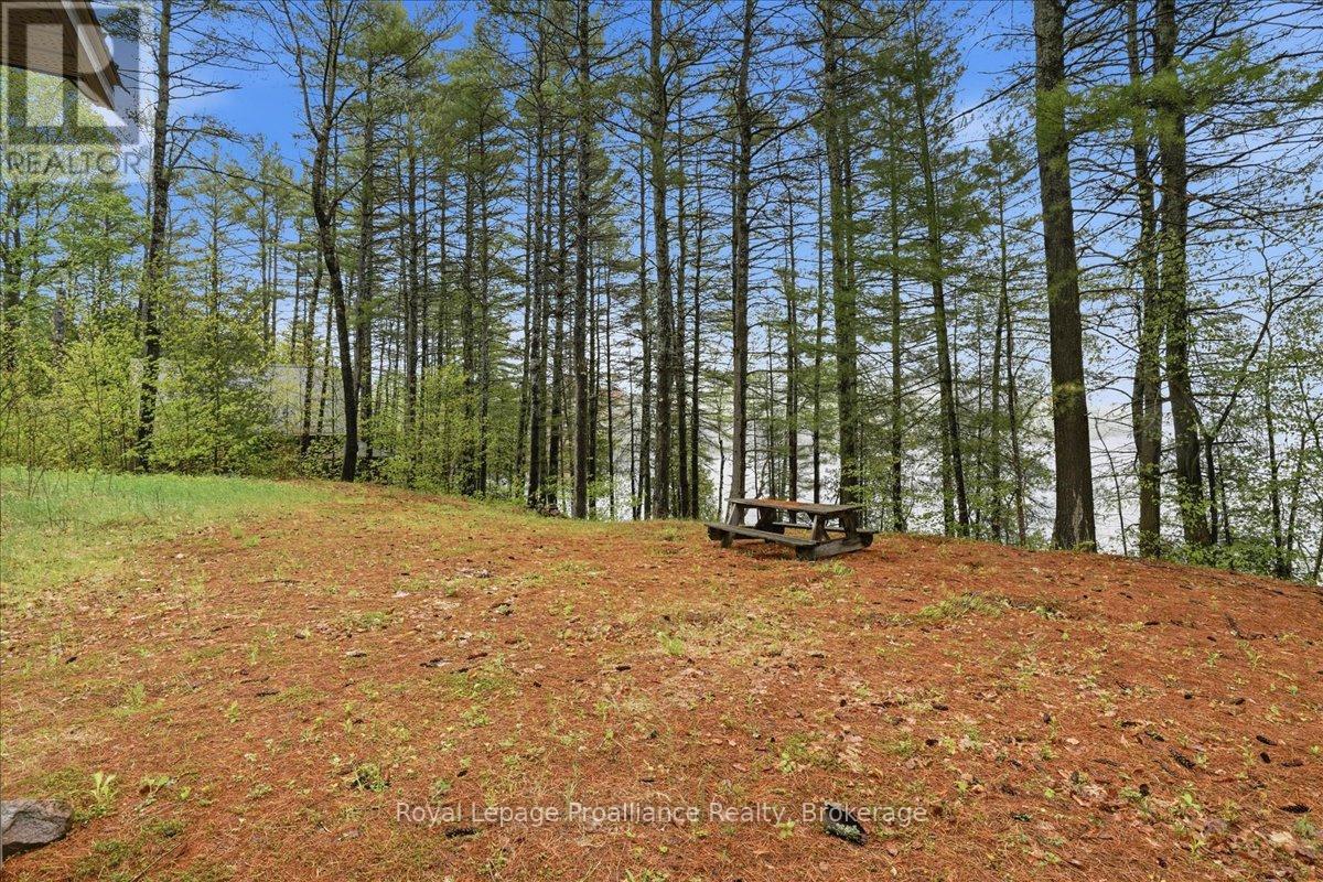 1419 Turtle Lake Lane Property Photo 17