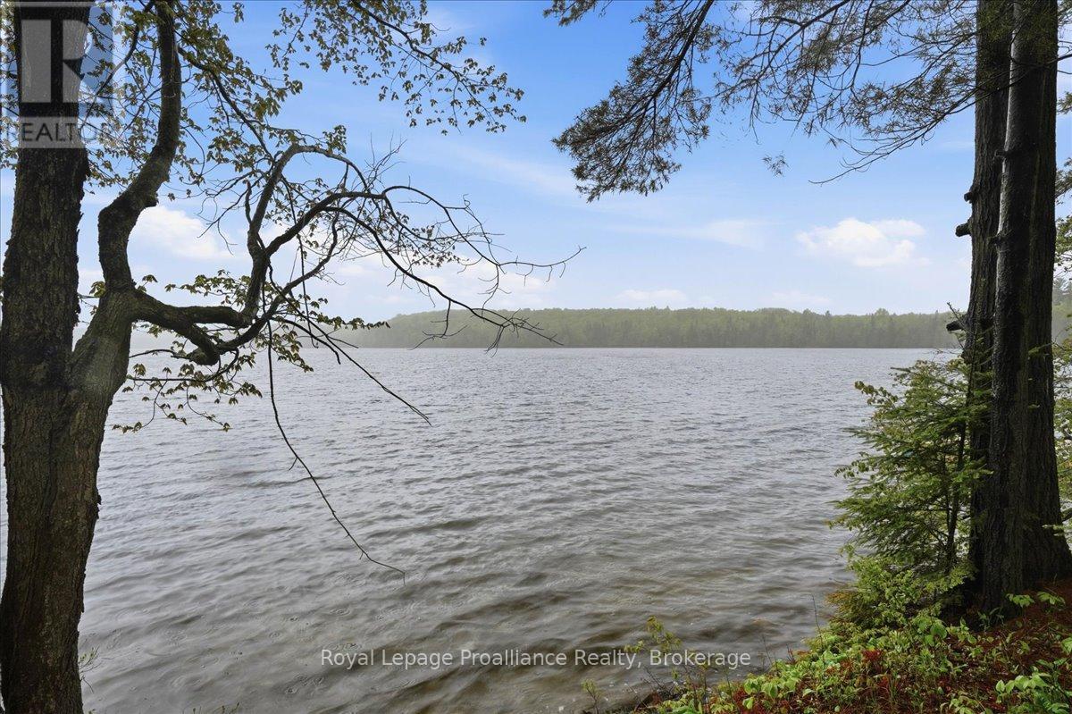 1419 Turtle Lake Lane Property Photo 18