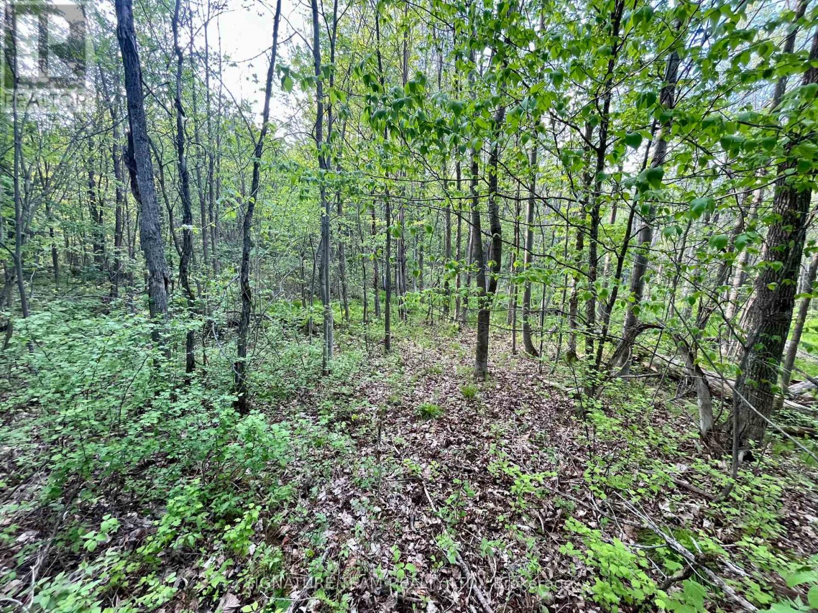 Pt Lt 9 Foymount Road Property Photo 17