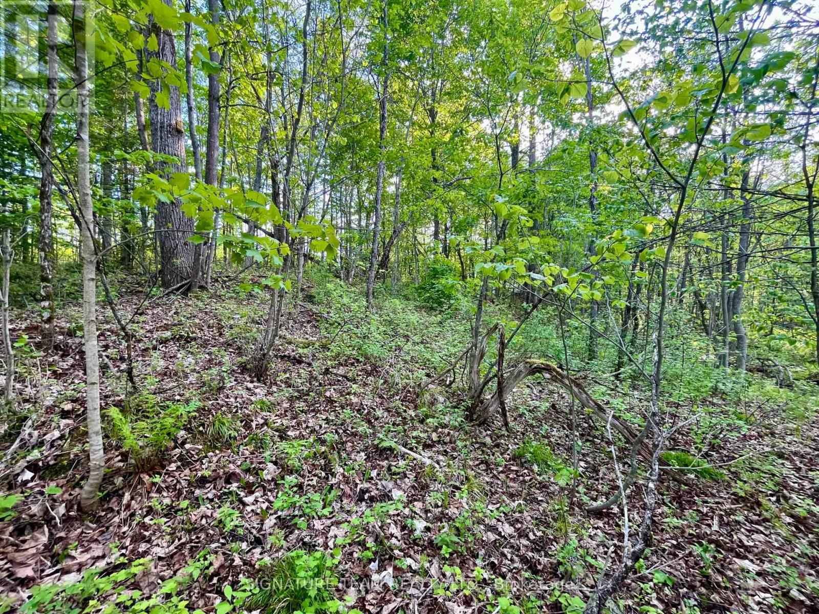 Pt Lt 9 Foymount Road Property Photo 18