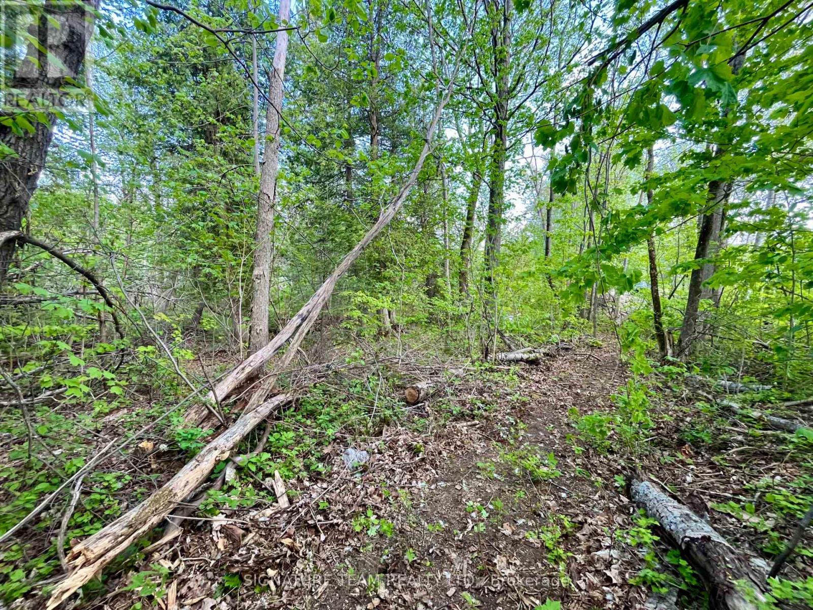 Pt Lt 9 Foymount Road Property Photo 30