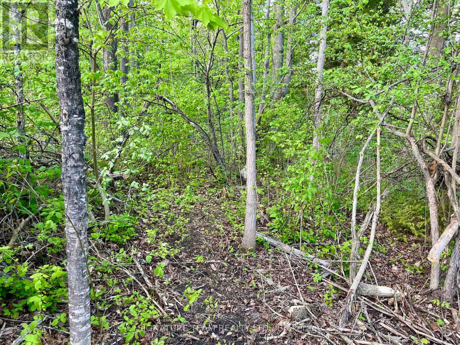 Pt Lt 9 Foymount Road Property Photo 32