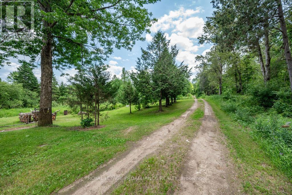 273 Tower Road Property Photo 25