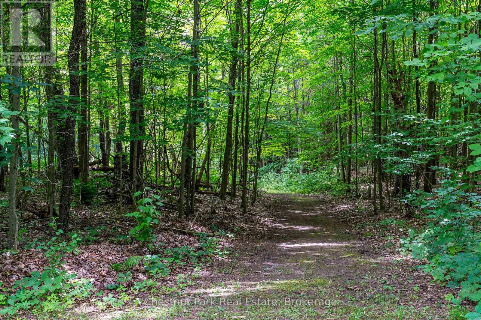 838151 4th Line E Property Photo 5