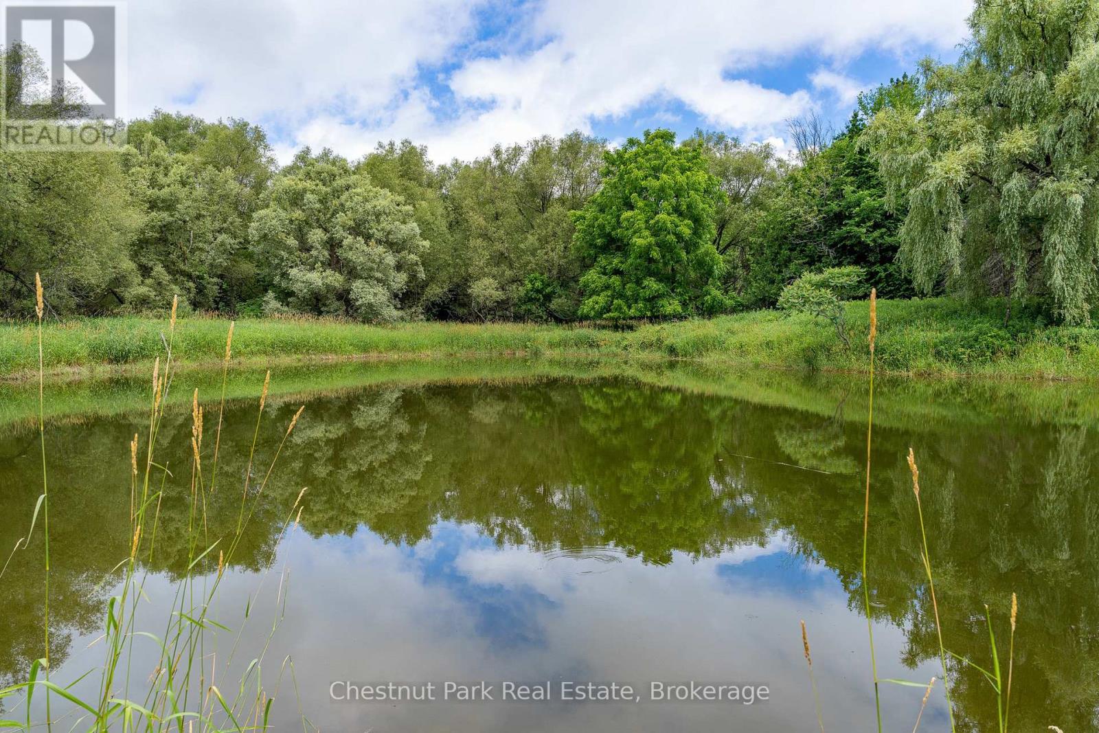 838151 4th Line E Property Photo 6