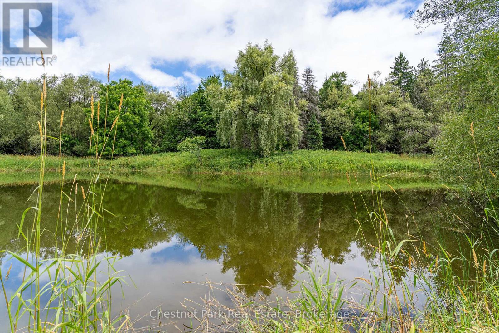 838151 4th Line E Property Photo 13