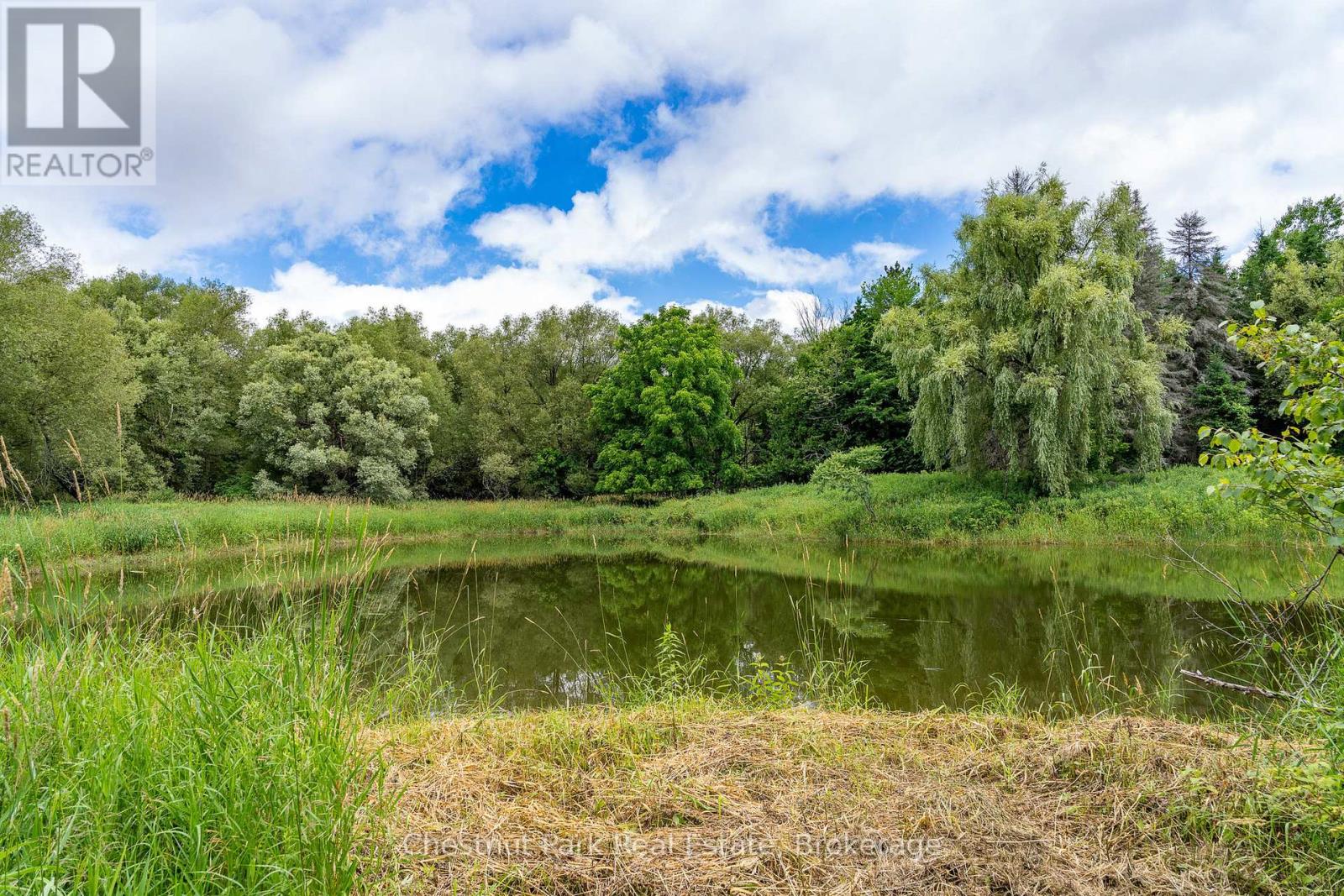 838151 4th Line E Property Photo 14