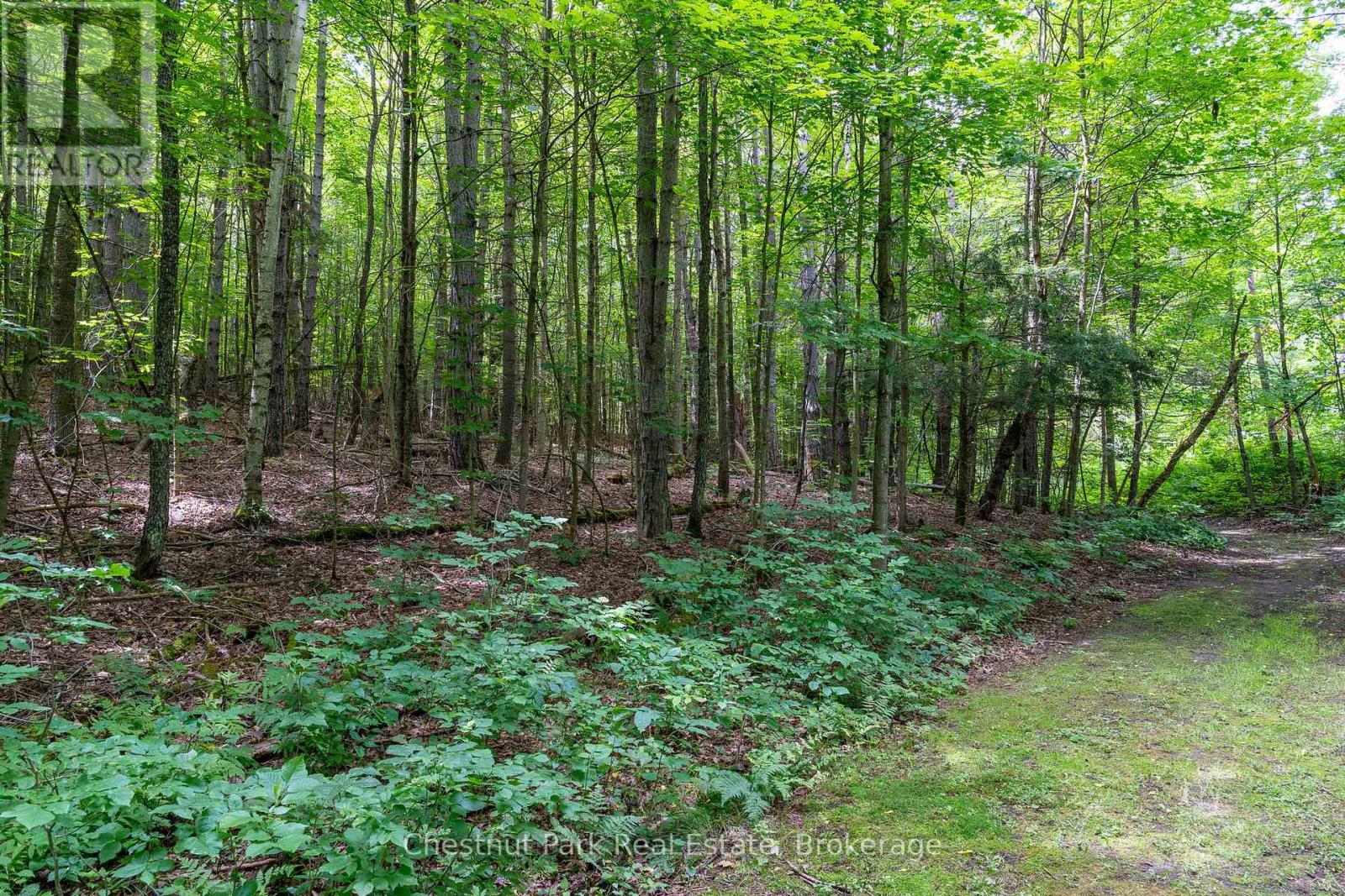 838151 4th Line E Property Photo 16