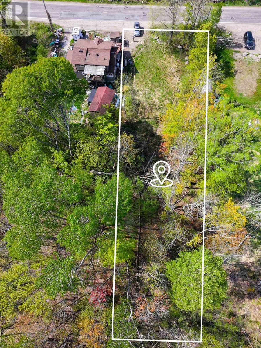 359 Town Line Road W Property Photo 6