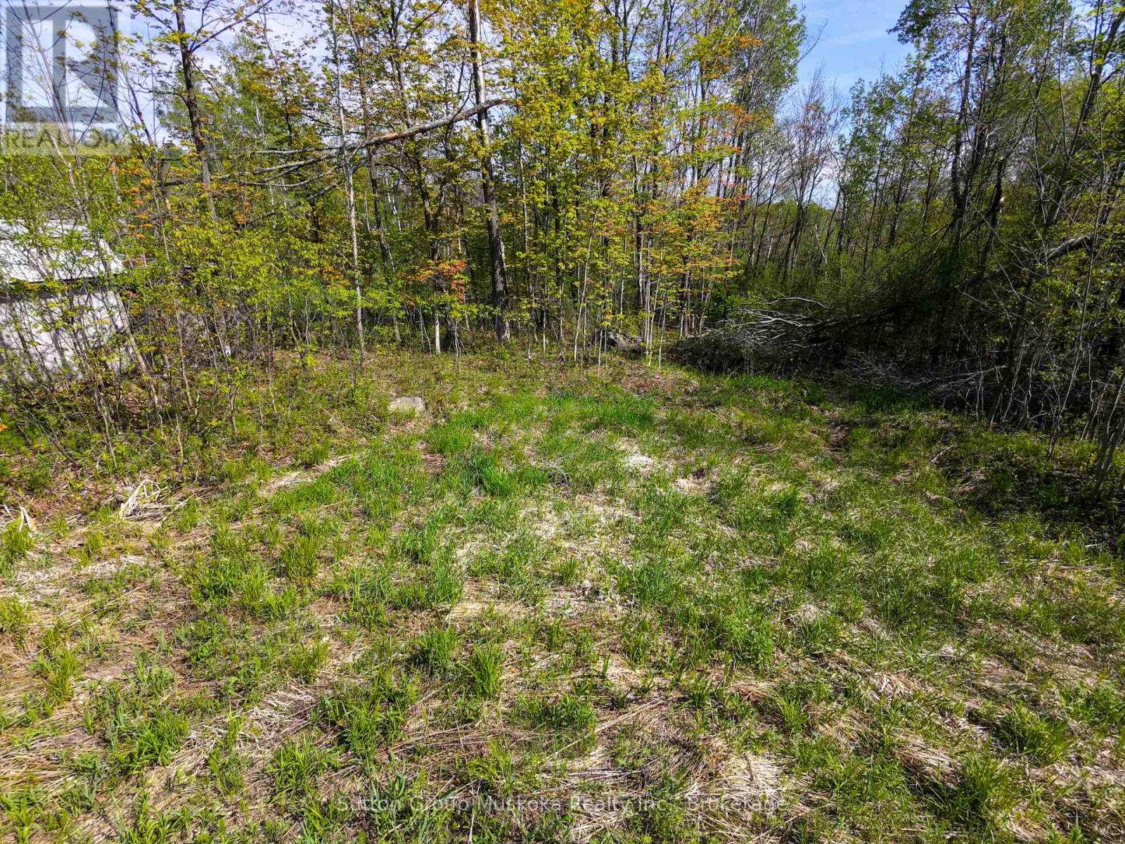 359 Town Line Road W Property Photo 13