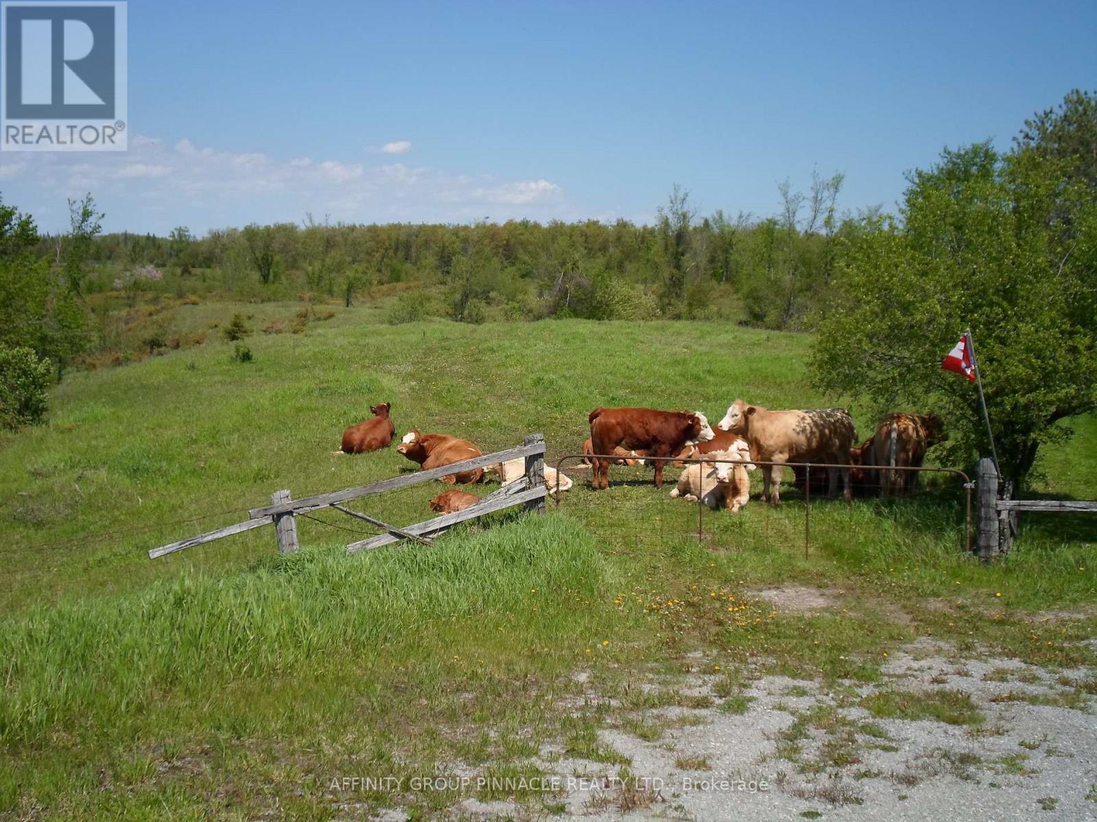 1178 County Rd 121 Road Property Photo 12