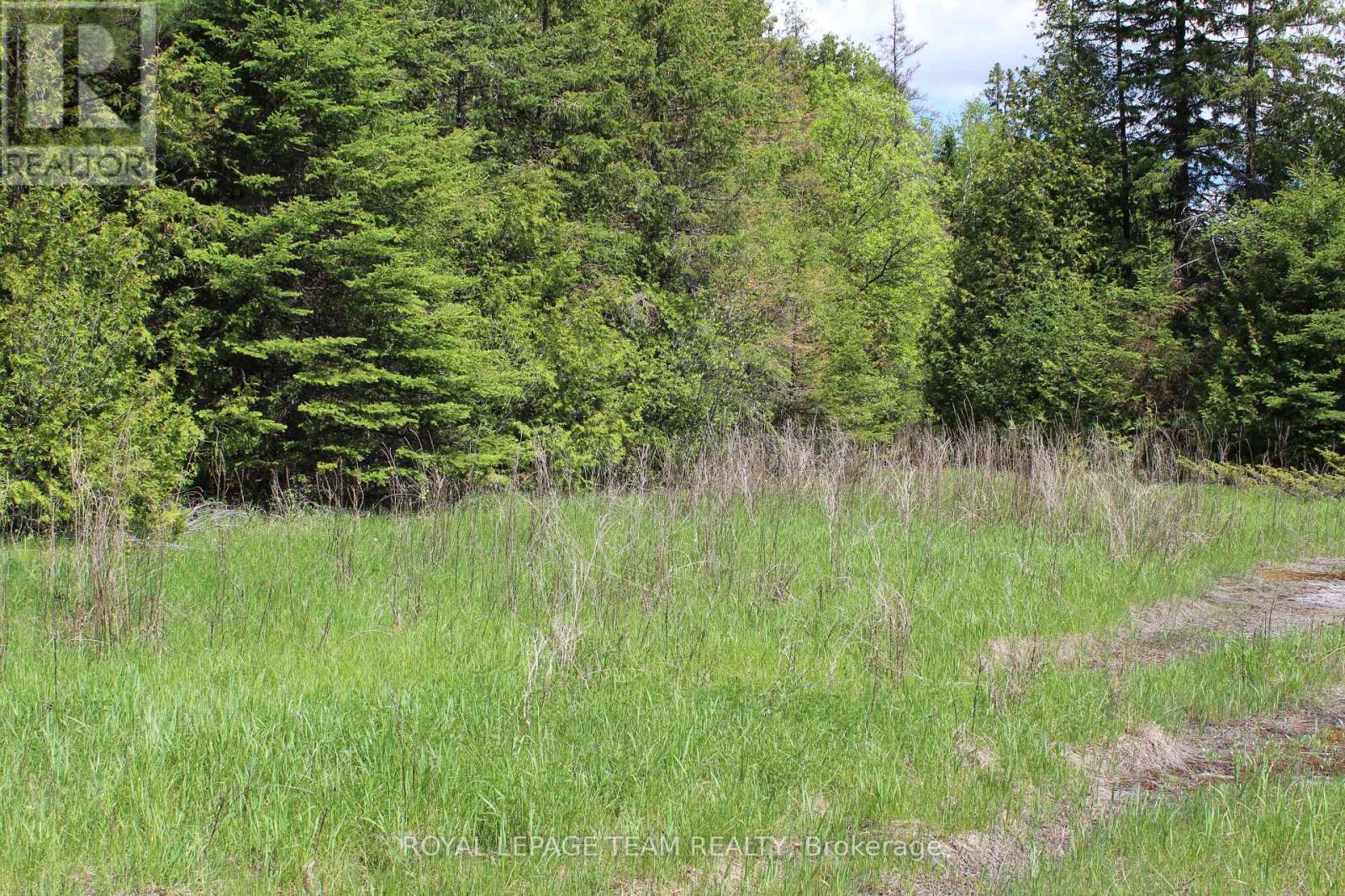 3475 Hwy 17 Highway Property Photo 9