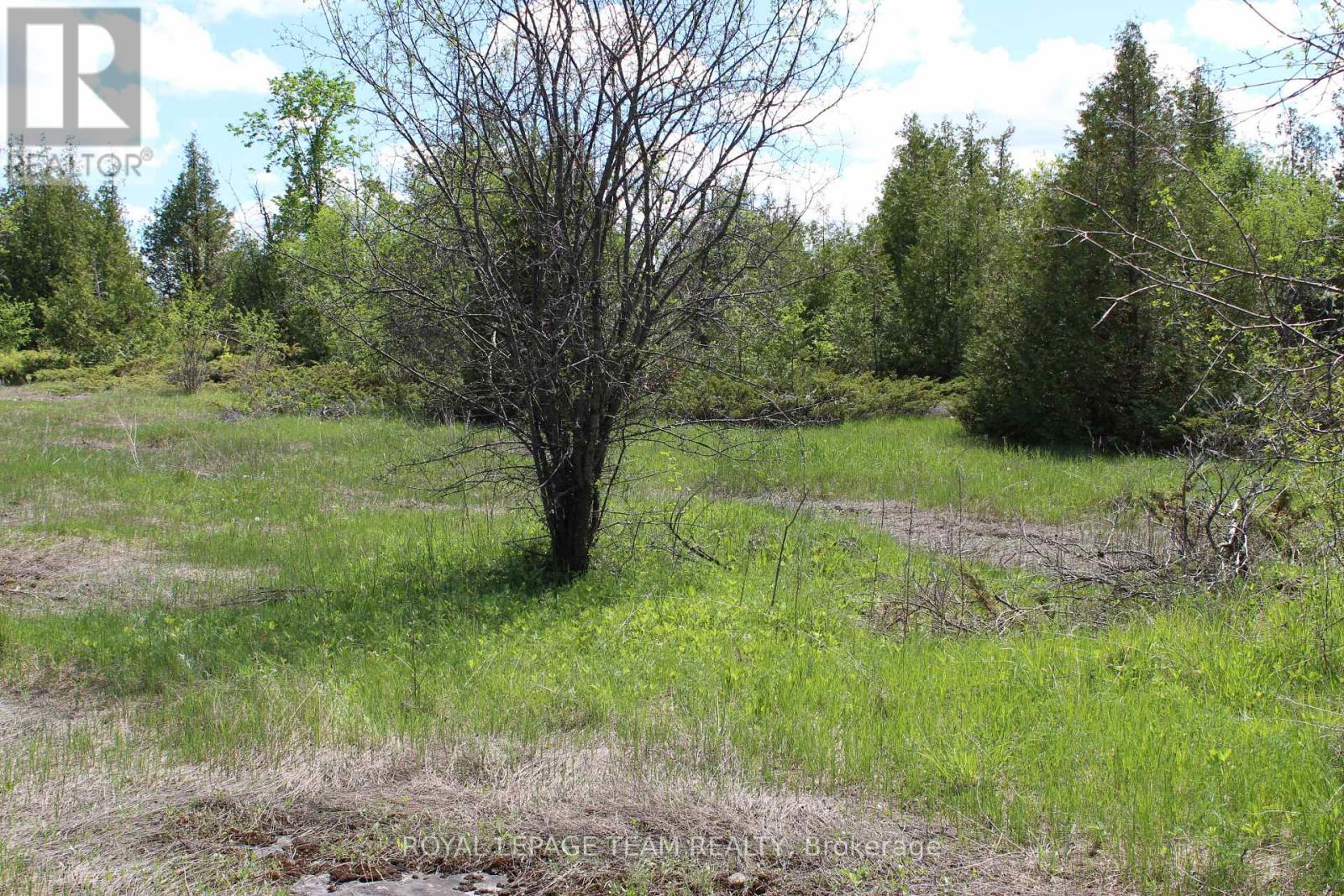 3475 Hwy 17 Highway Property Photo 13