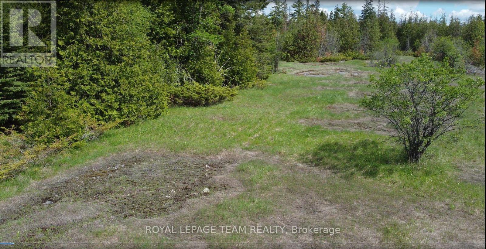 3475 Hwy 17 Highway Property Photo 21