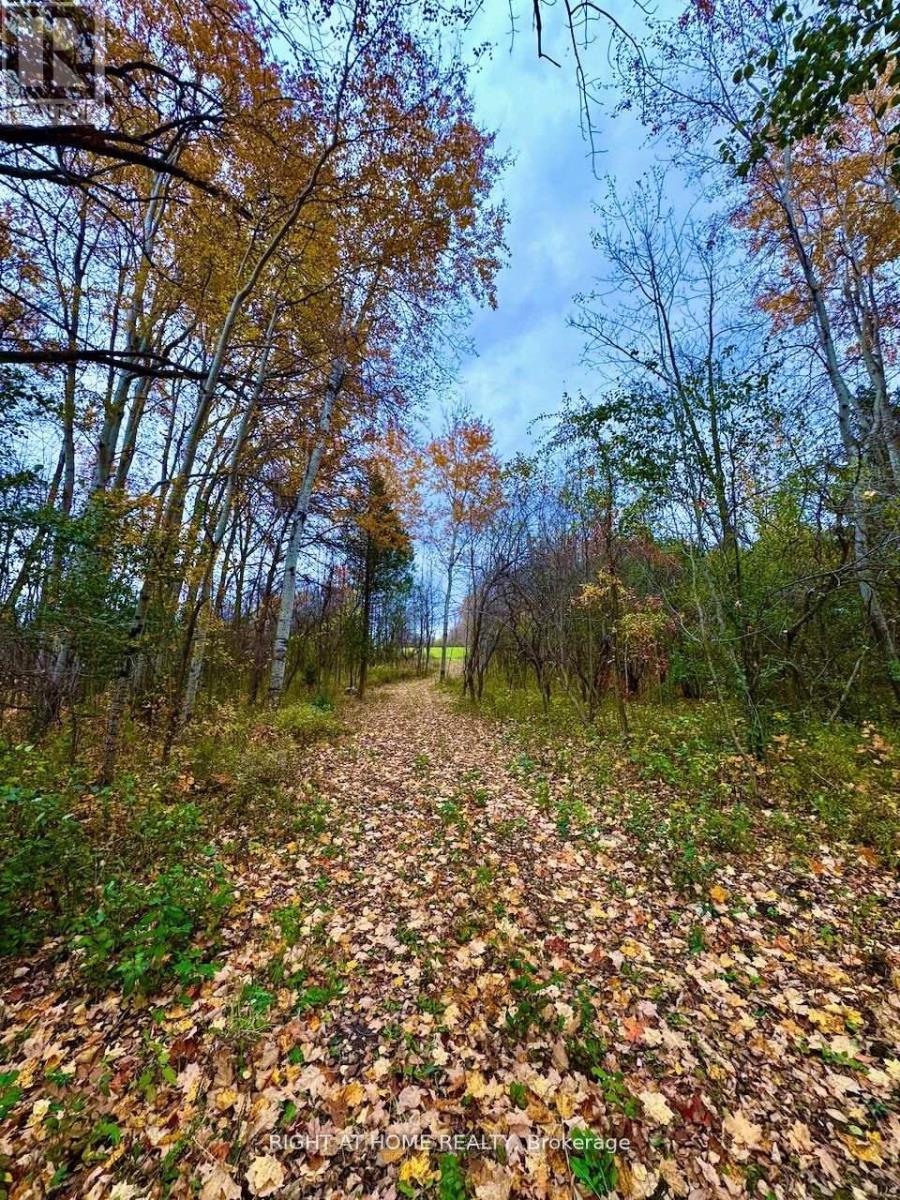 397641 10 Concession Property Photo 5