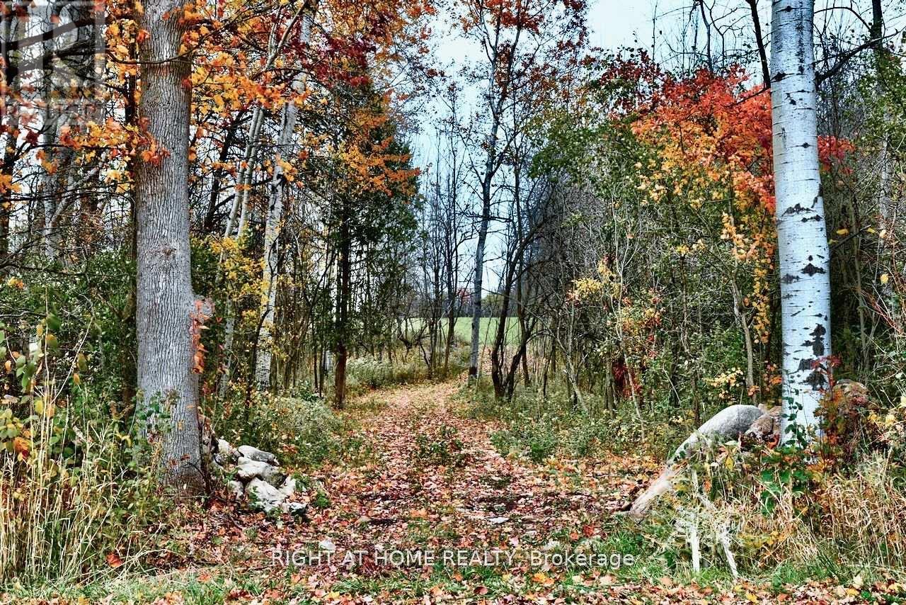 397641 10 Concession Property Photo 7