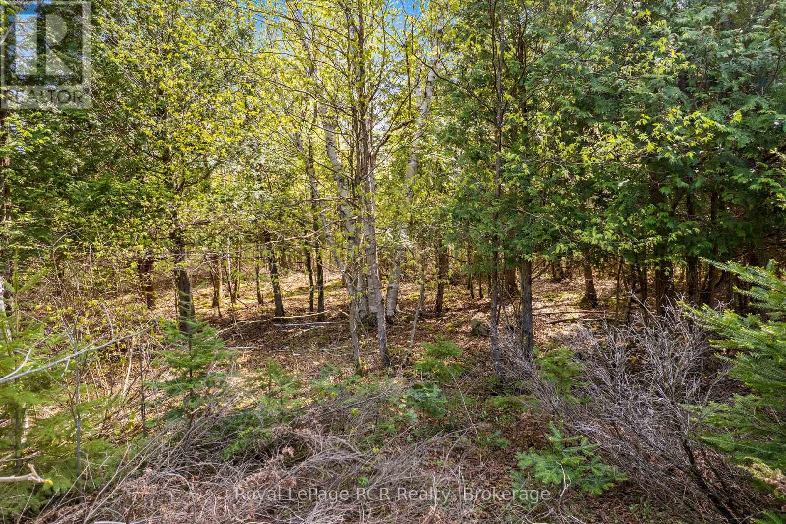 N/a Sutter Road Road W Property Photo 38