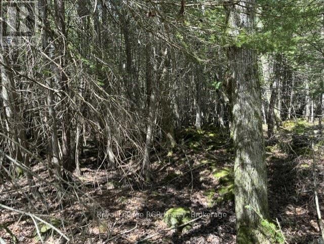 N/a Sutter Road Road W Property Photo 45