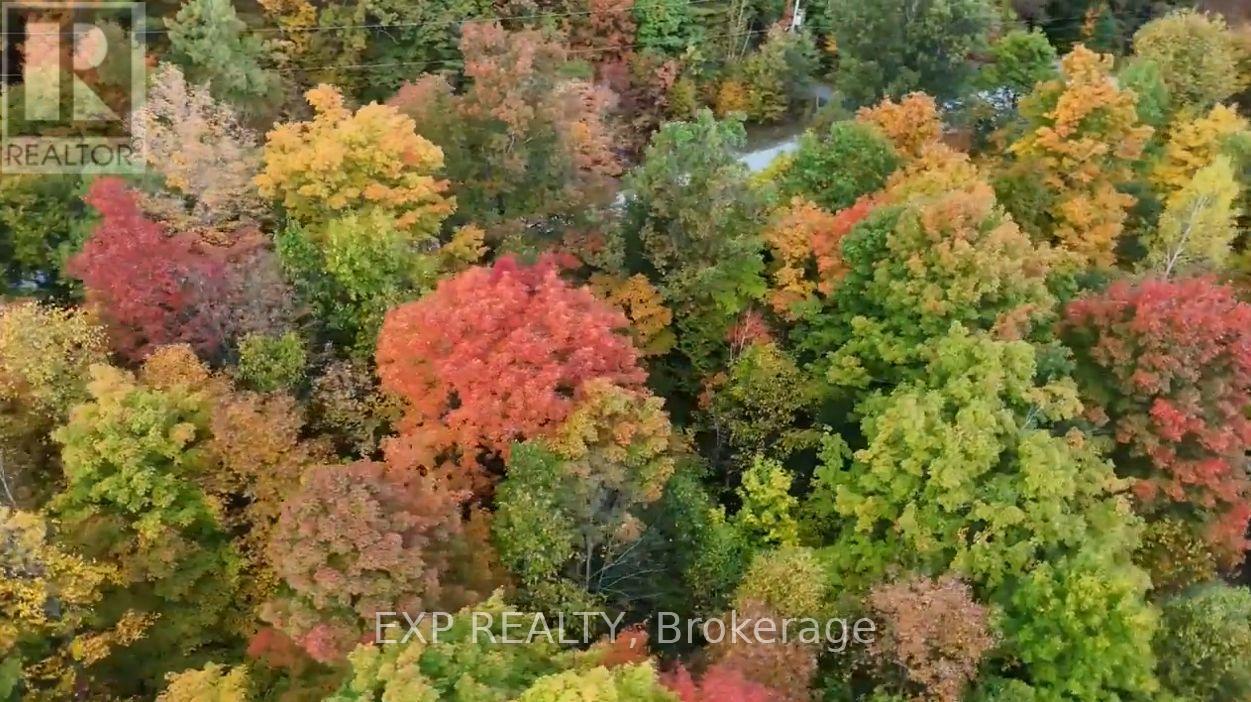 00 Iron Mine Road Property Photo 24