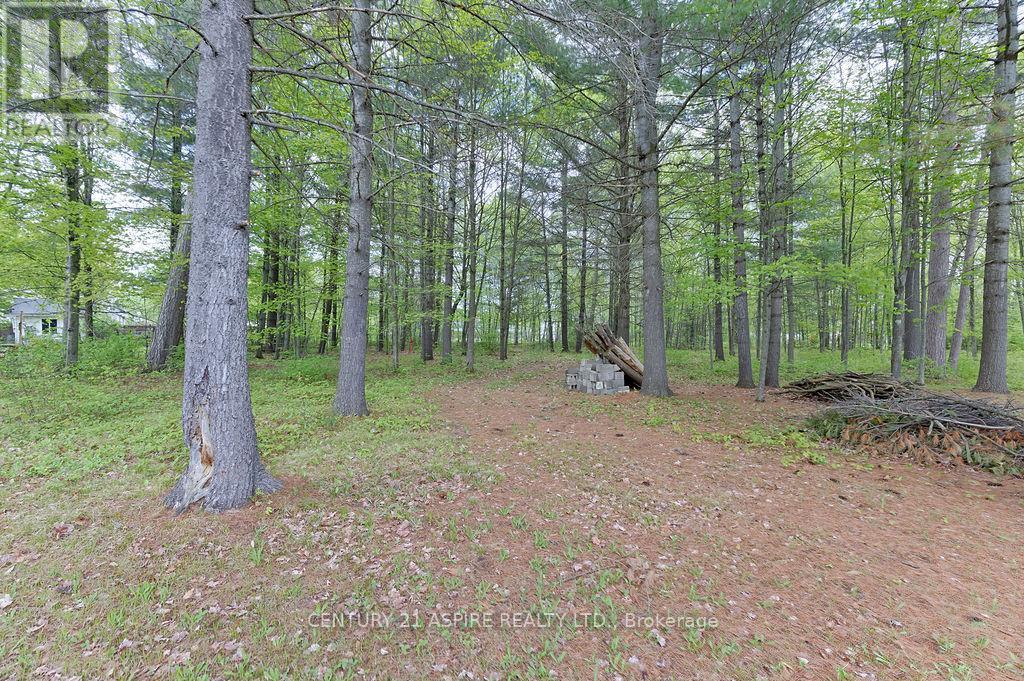 2889 Petawawa Boulevard Property Photo 42