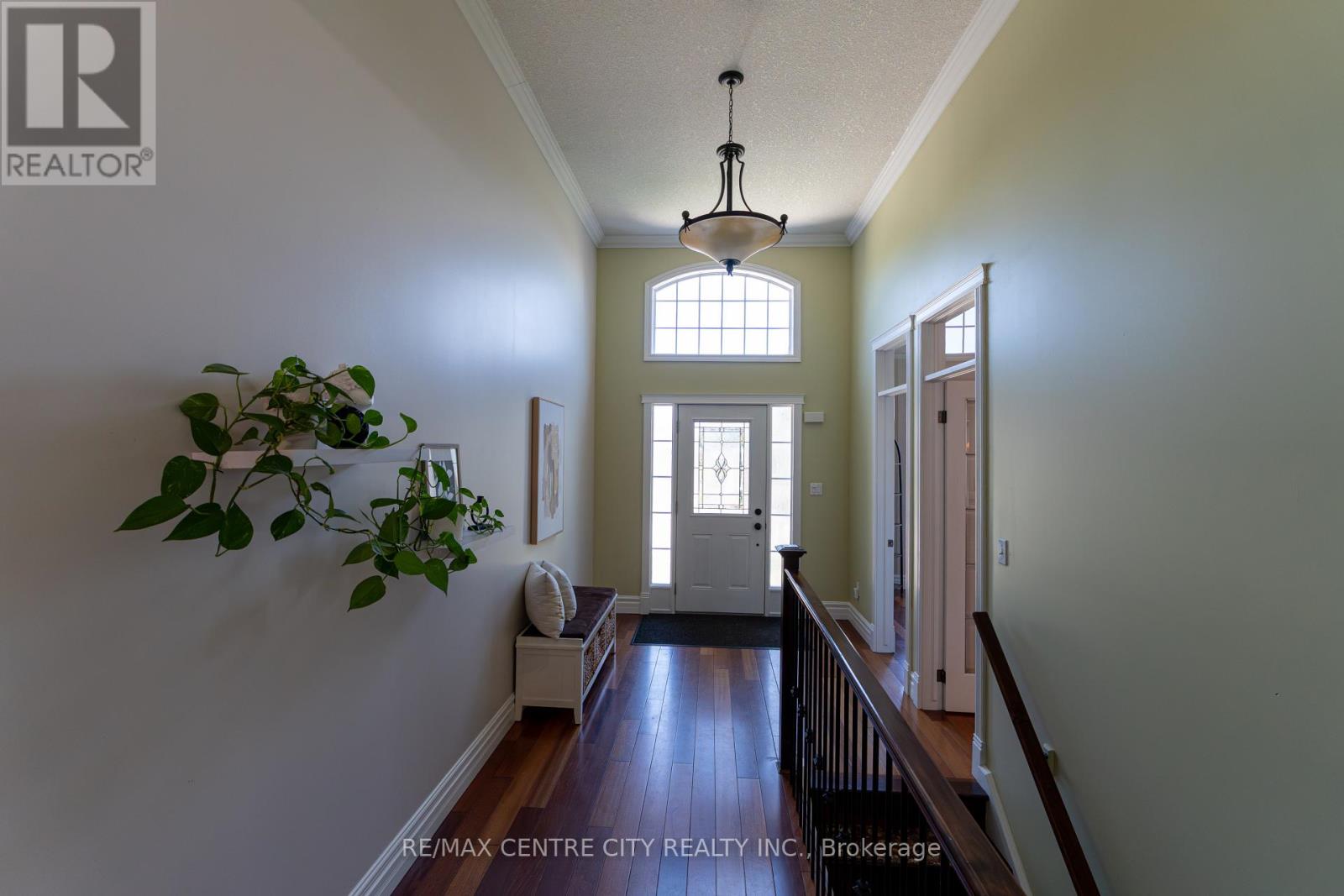 19 Hamilton Street Property Photo 4