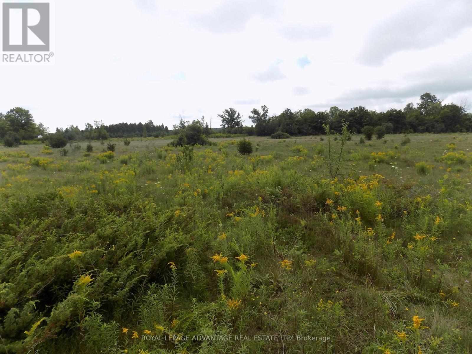 0 Hwy 43 Highway W Property Photo 4