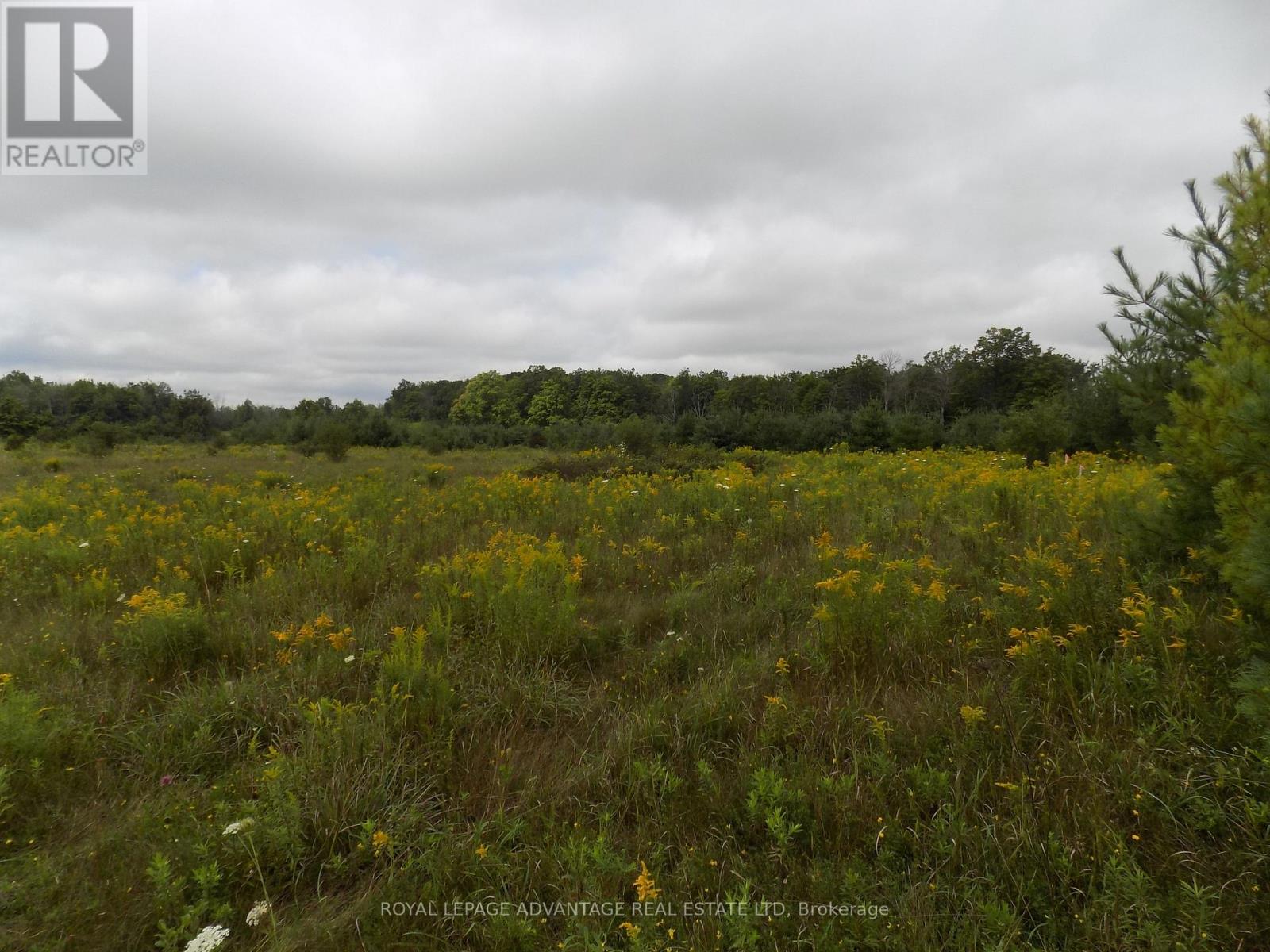 0 Hwy 43 Highway W Property Photo 5