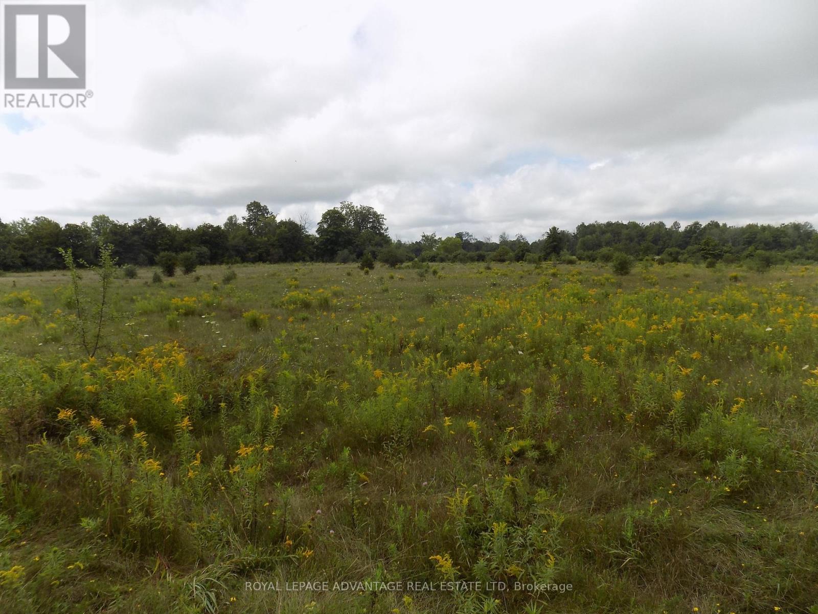 0 Hwy 43 Highway W Property Photo 6