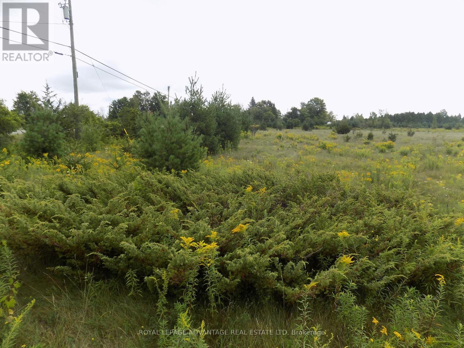 0 Hwy 43 Highway W Property Photo 7