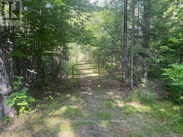 905 & 841 North Mckenzie Lake Road Property Photo 1