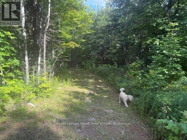905 & 841 North Mckenzie Lake Road Property Photo 2