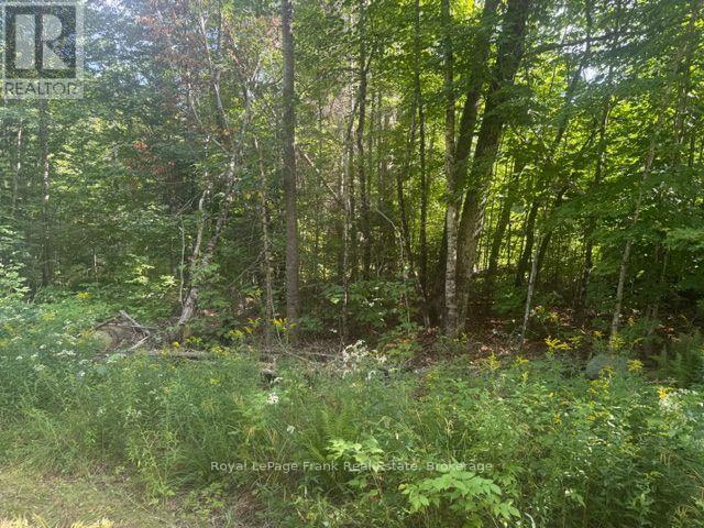 905 & 841 North Mckenzie Lake Road Property Photo 3