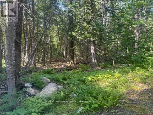 905 & 841 North Mckenzie Lake Road Property Photo 5