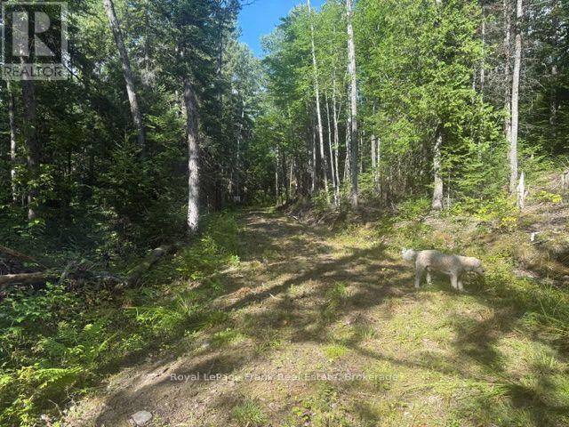 905 & 841 North Mckenzie Lake Road Property Photo 6