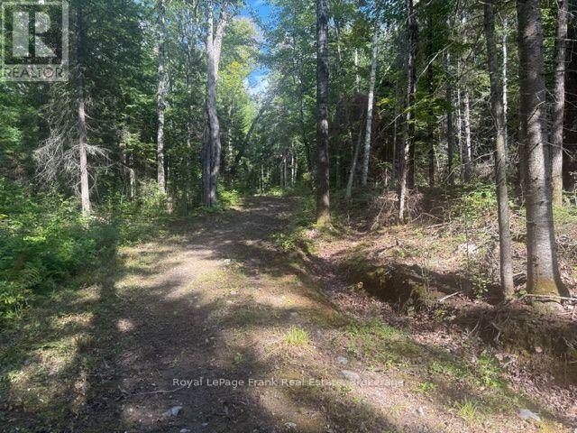 905 & 841 North Mckenzie Lake Road Property Photo 7