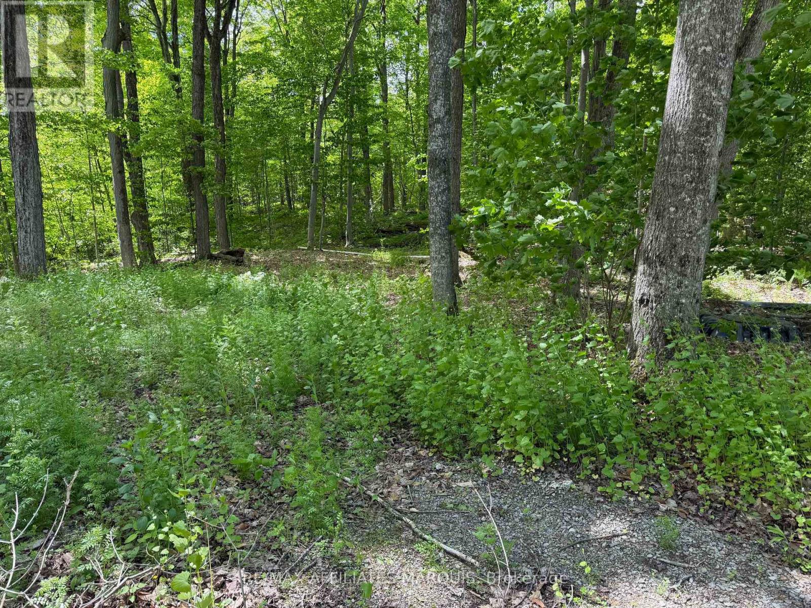 325 Cedar Sands Road Property Photo 10