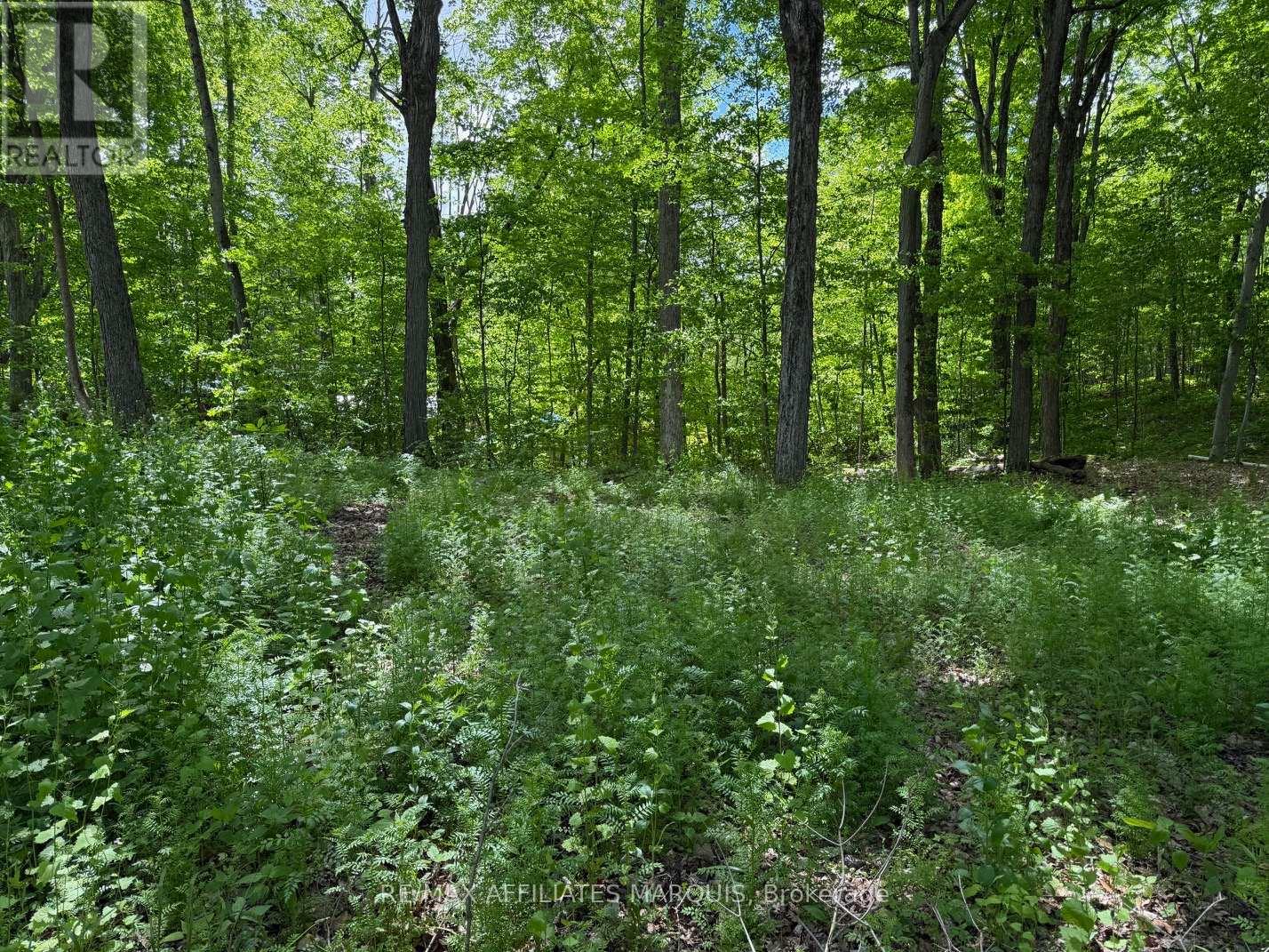 325 Cedar Sands Road Property Photo 13